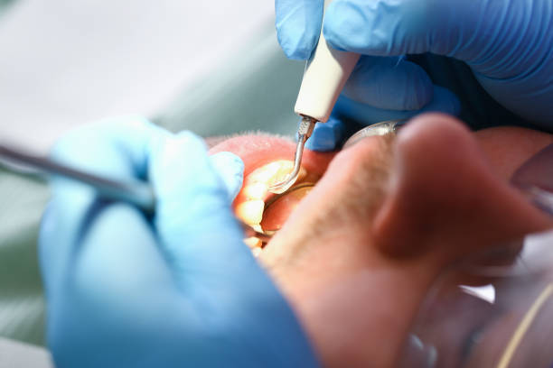 Best Dentist Open Late Near Me  in Waterville, OH