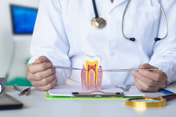 Best Chipped Tooth Repair Near Me  in Waterville, OH